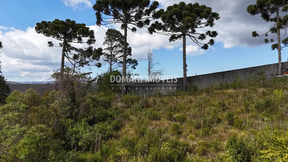 Terreno, 1010 m² - Foto 6