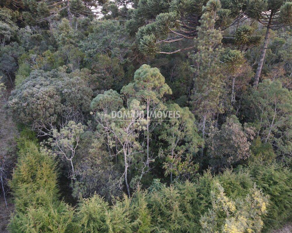 Terreno, 1780 m² - Foto 1