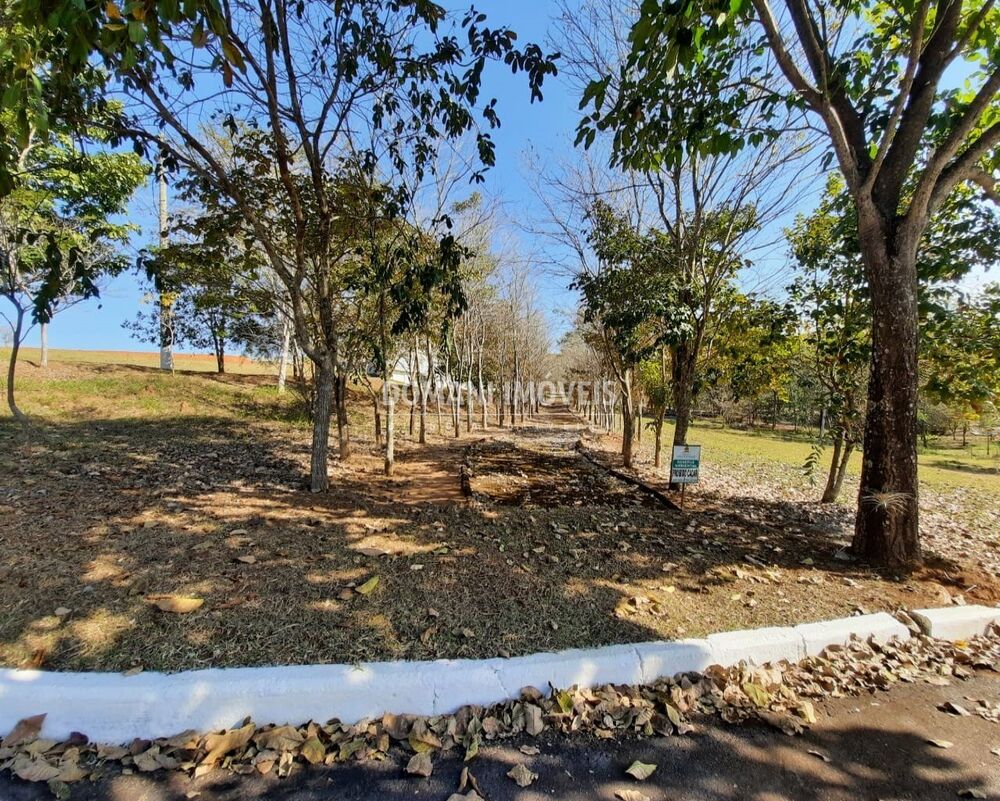 Terreno, 1003 m² - Foto 3