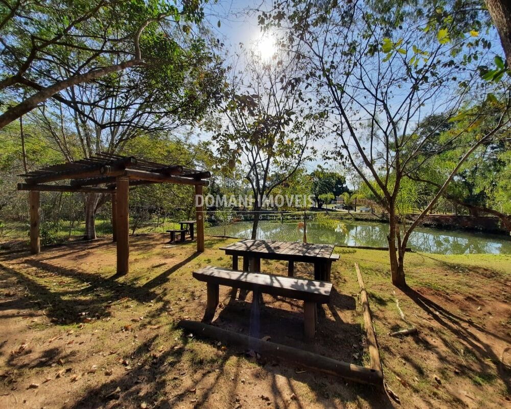 Terreno, 1003 m² - Foto 6