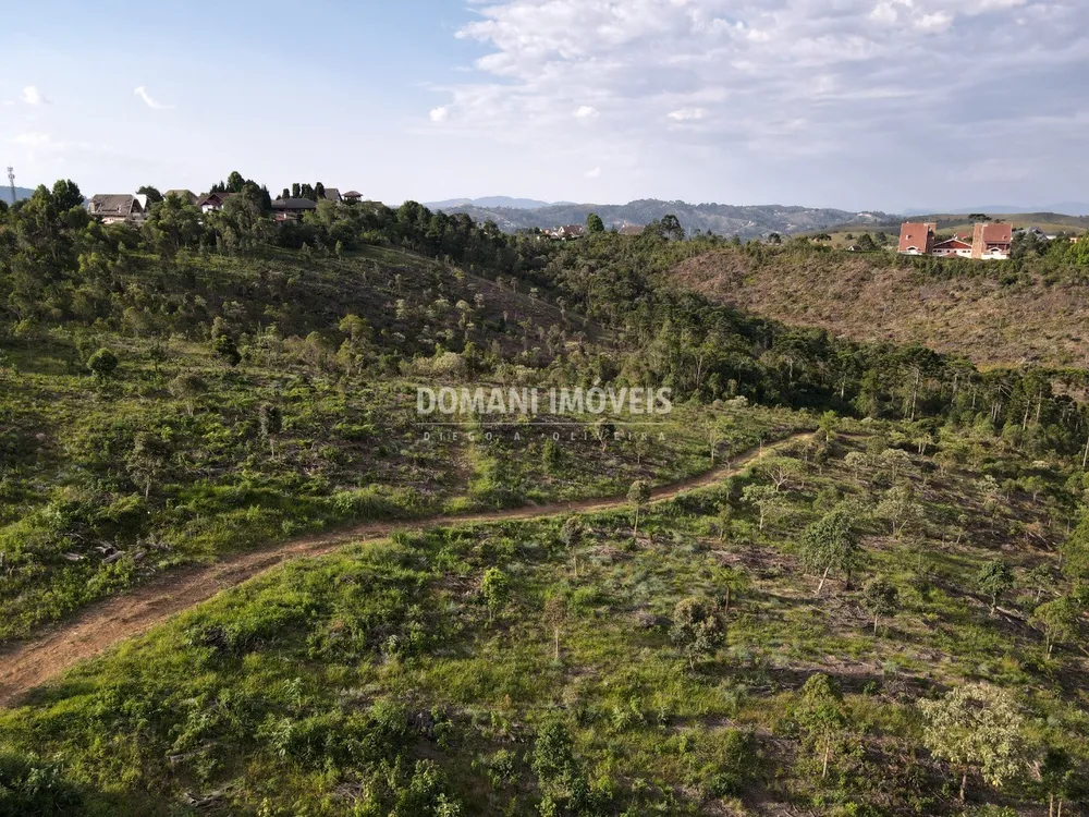 Terreno - Foto 4