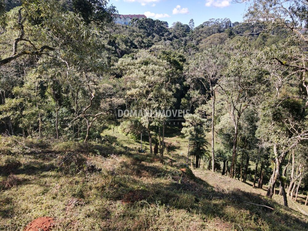 Terreno, 2060 m² - Foto 1