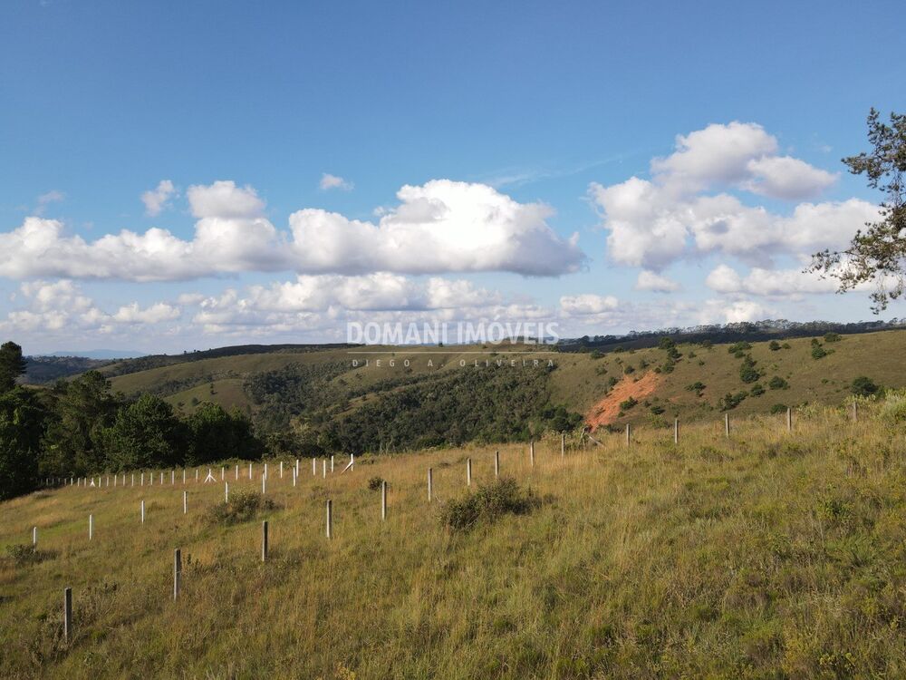 Terreno, 1160 m² - Foto 1