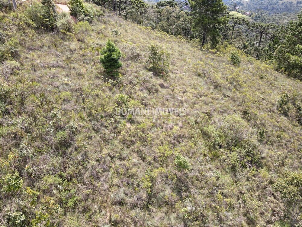 Terreno, 2065 m² - Foto 2