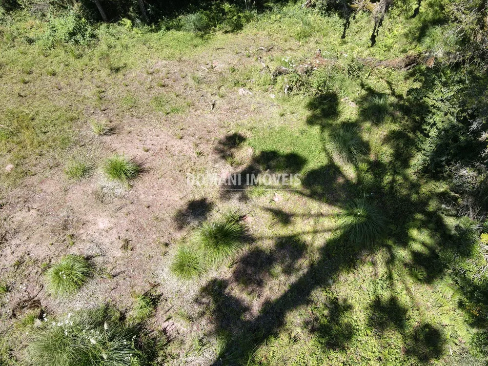Terreno, 2865 m² - Foto 4