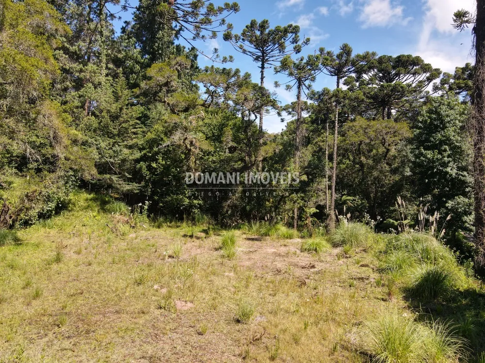 Terreno, 2865 m² - Foto 5
