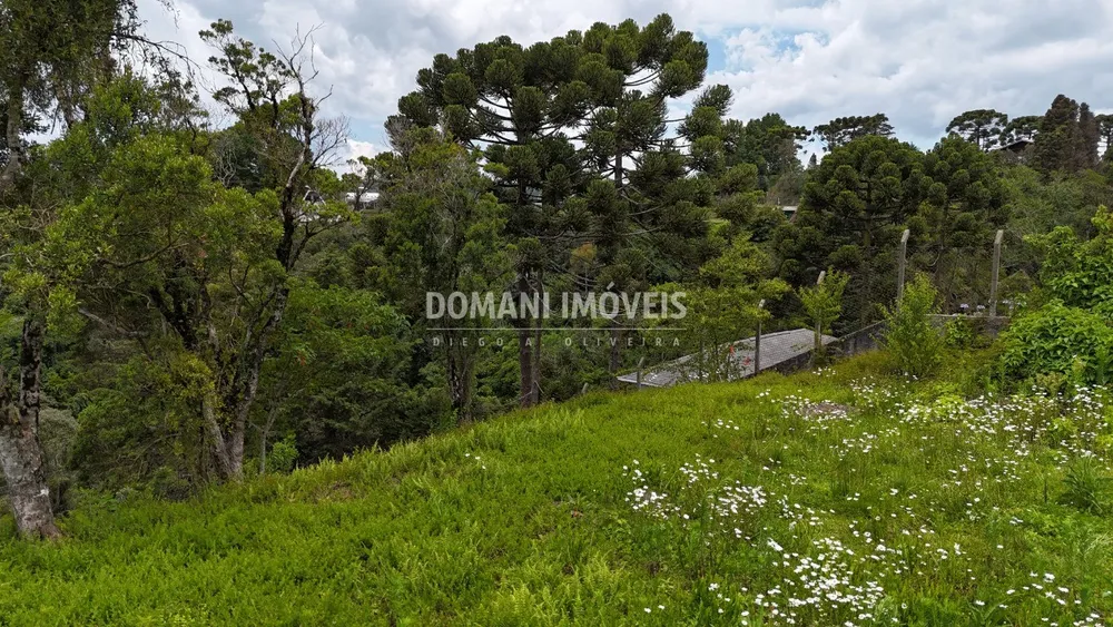Terreno, 1180 m² - Foto 4