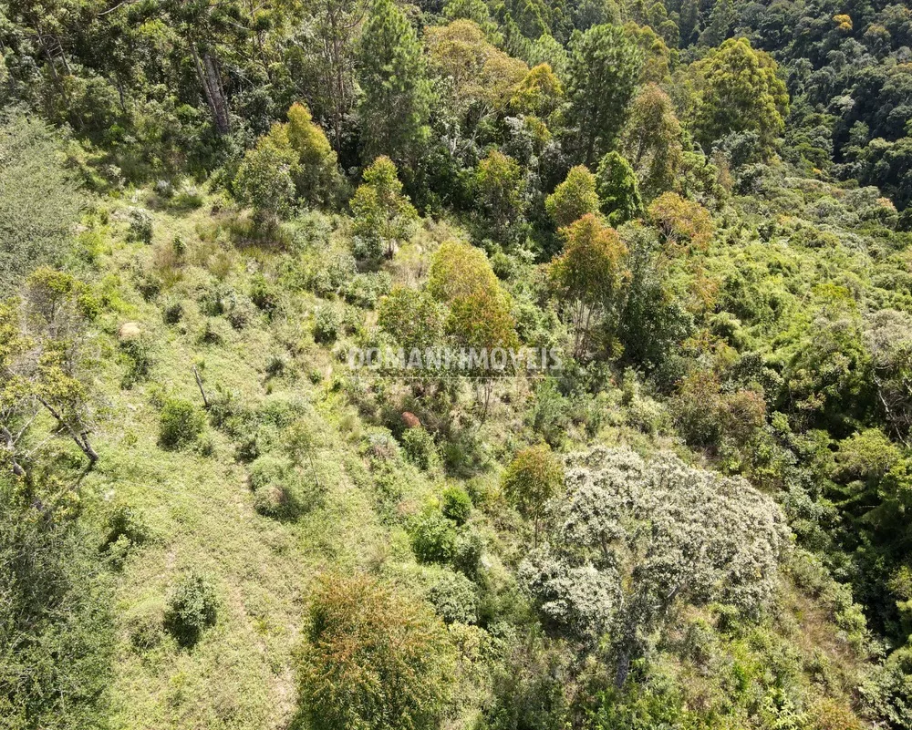 Terreno à venda - Foto 3