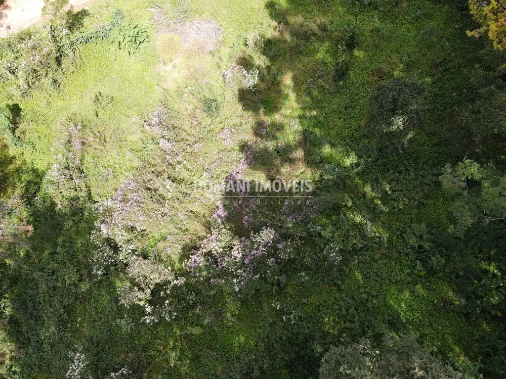 Terreno, 1250 m² - Foto 6