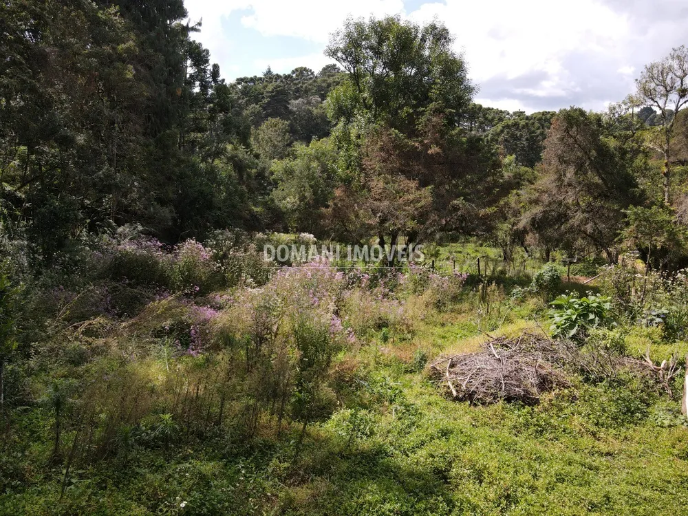 Terreno, 1250 m² - Foto 4