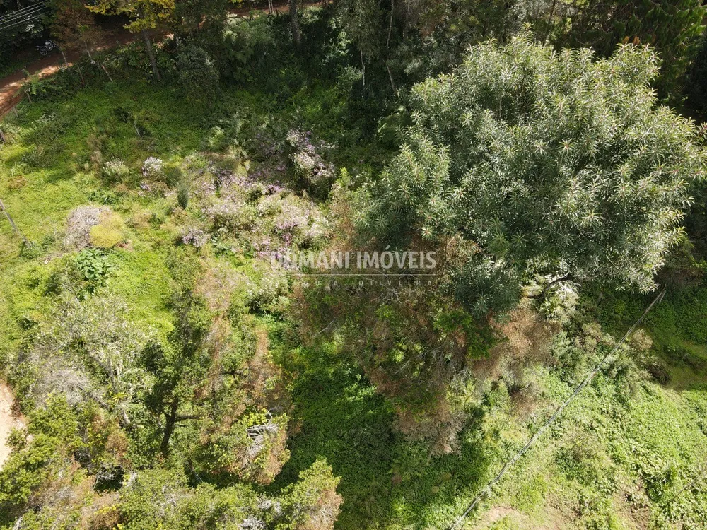 Terreno, 1250 m² - Foto 8