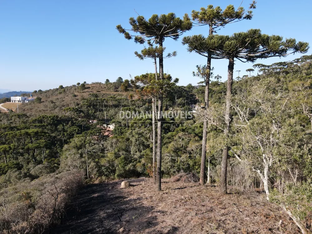 Terreno à venda, 1100m² - Foto 1