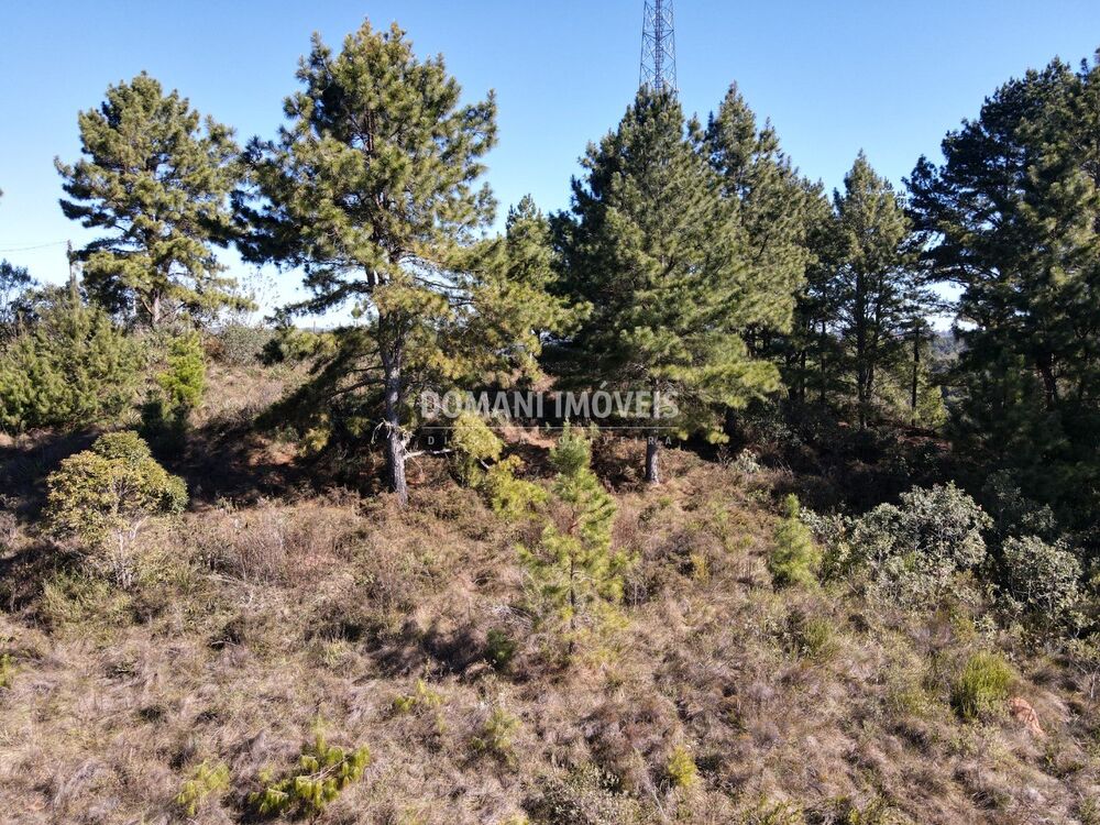 Terreno, 1470 m² - Foto 2