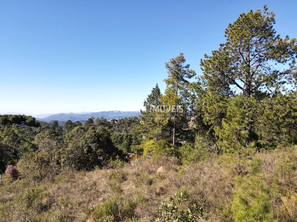 Terreno, 1470 m² - Foto 6