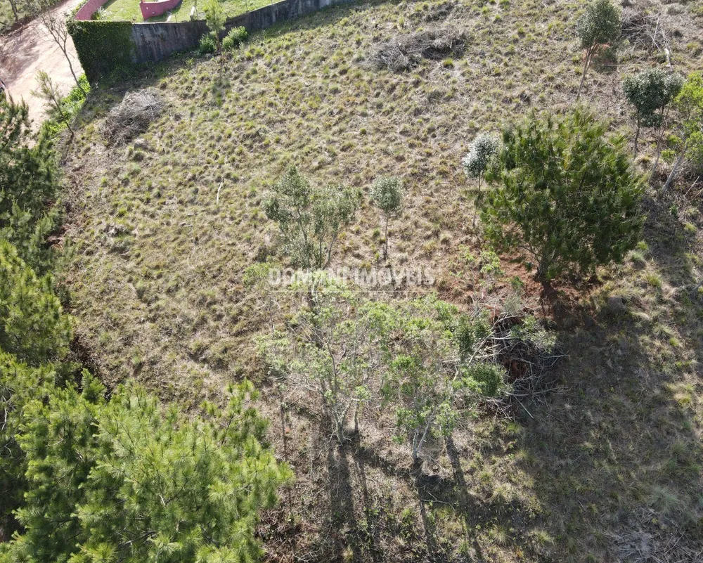 Terreno, 1350 m² - Foto 7