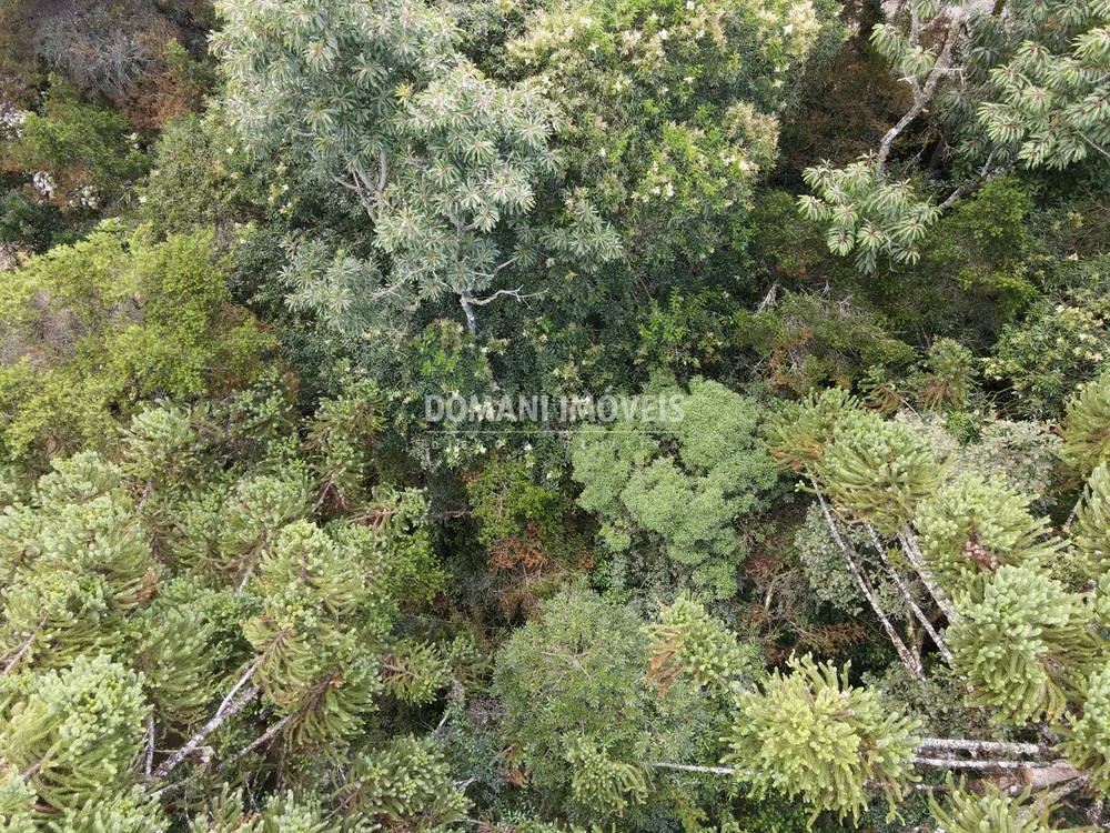 Terreno, 1070 m² - Foto 4