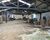 Depósito-Galpão, 1719 m² - Foto 19