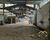 Depósito-Galpão, 1719 m² - Foto 9