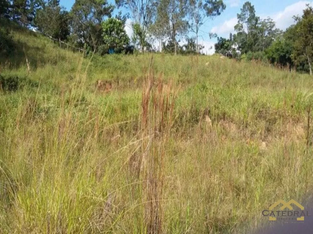 Terreno à venda, 18400m² - Foto 2