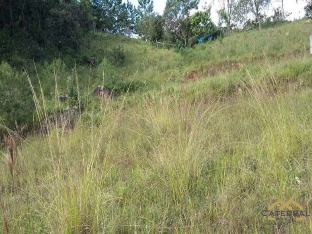 Terreno à venda, 18400m² - Foto 3