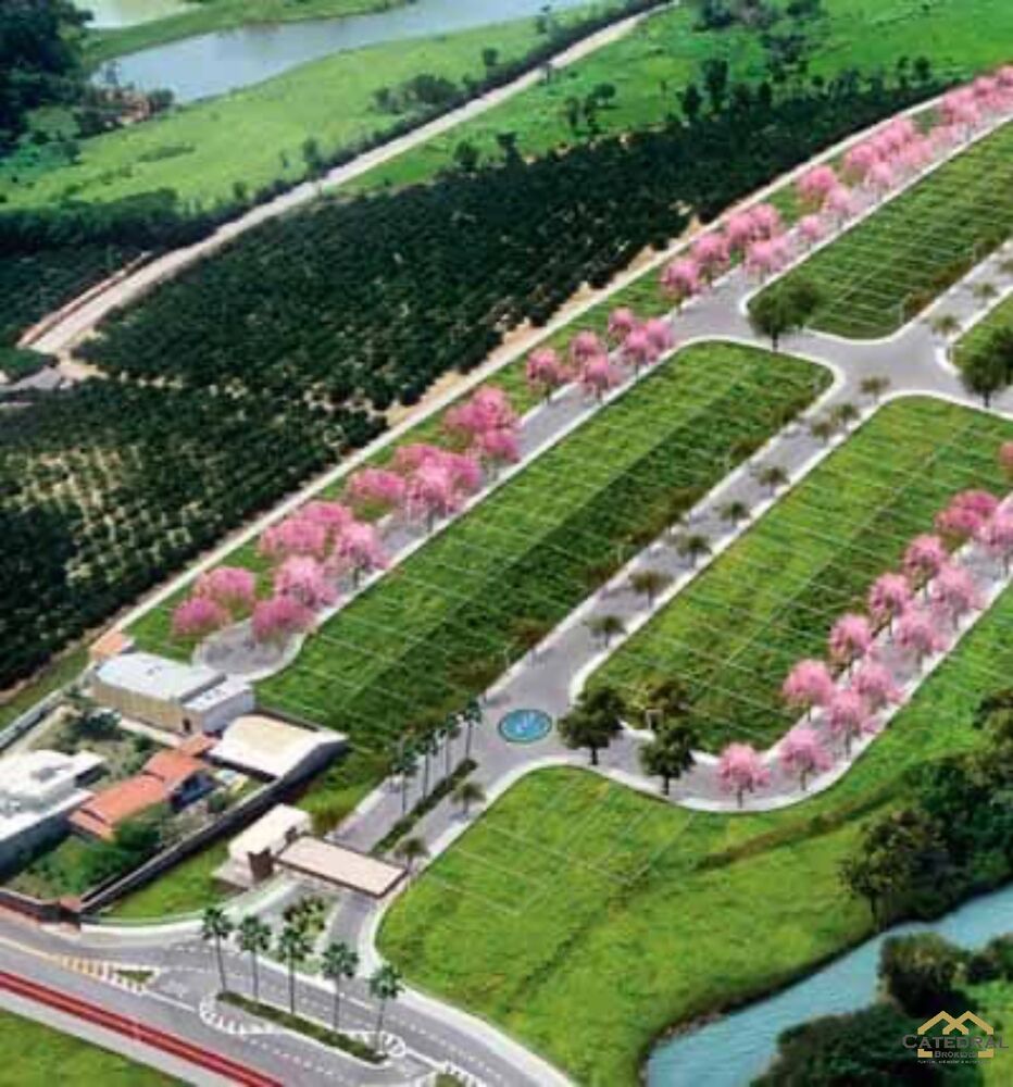 Terreno, 300 m² - Foto 3