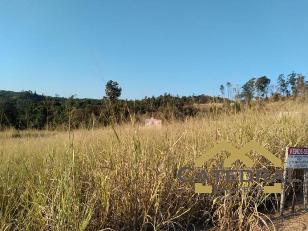 Terreno, 250 m² - Foto 3