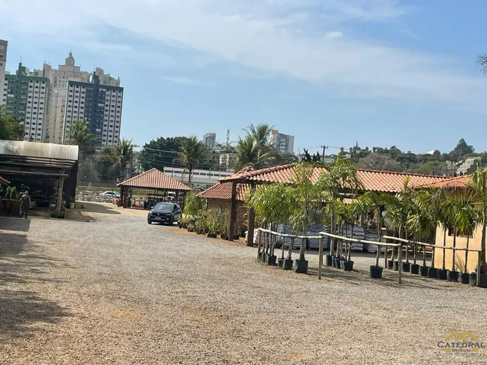 Terreno, 7652 m² - Foto 4