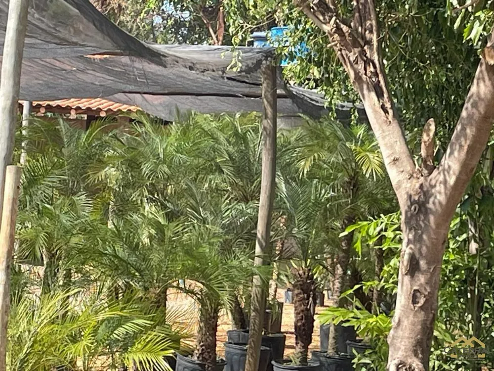 Terreno, 7652 m² - Foto 6