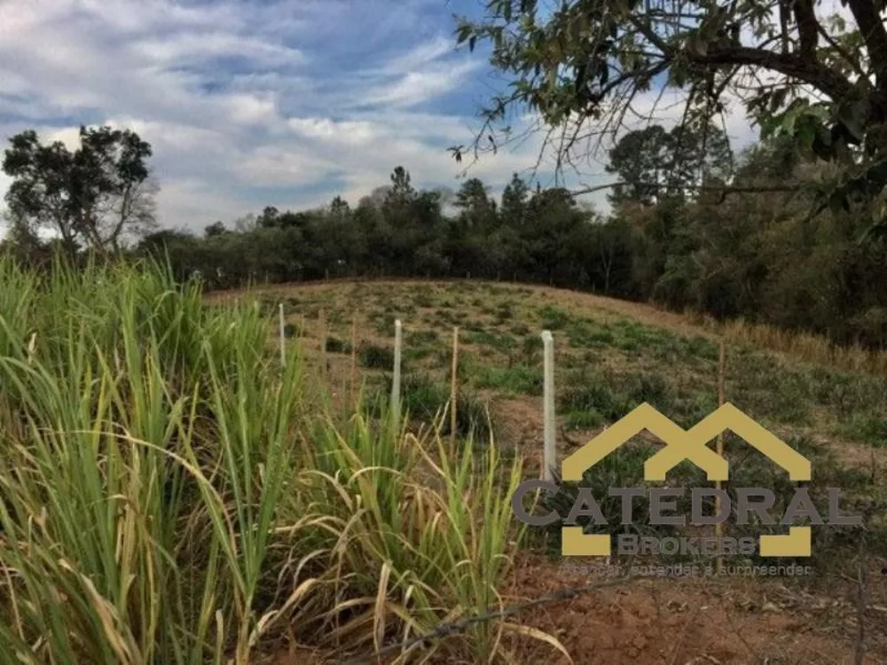 Terreno, 5200 m² - Foto 4