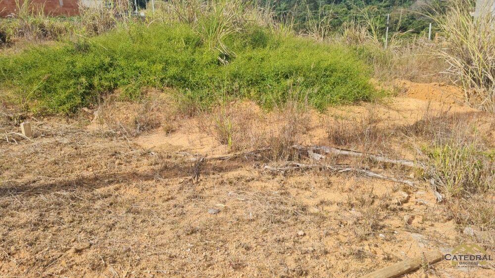 Terreno - Foto 2