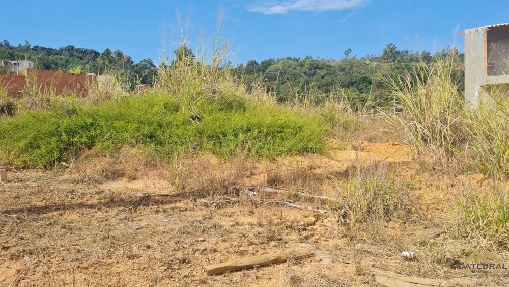 Terreno - Foto 1
