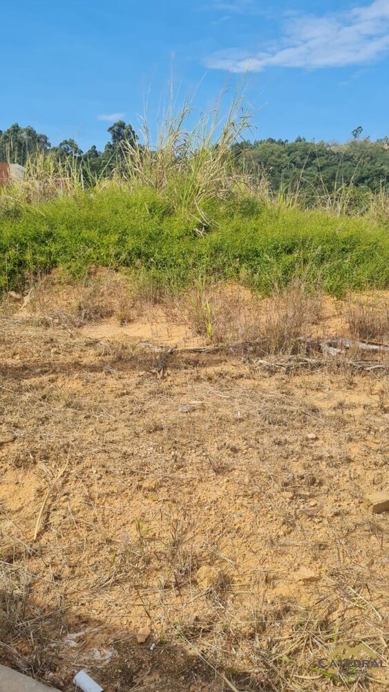 Terreno - Foto 5