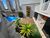 Casa, 3 quartos, 207 m² - Foto 3