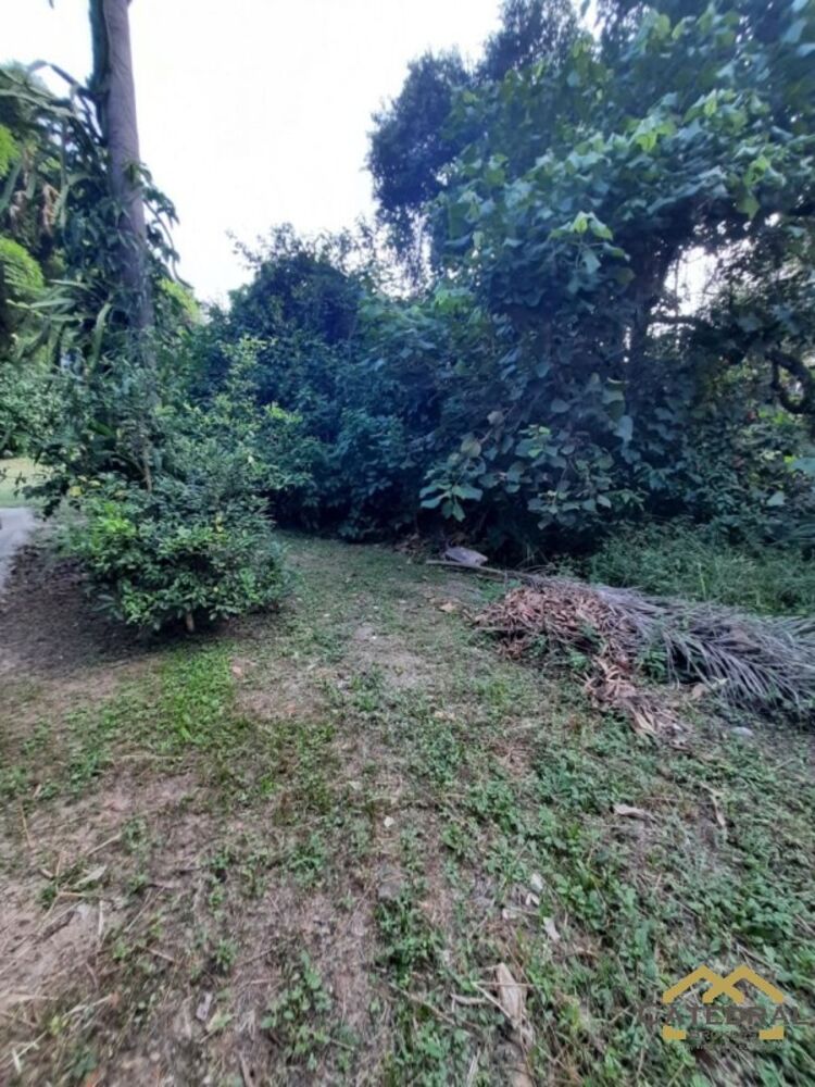 Terreno, 2384 m² - Foto 4