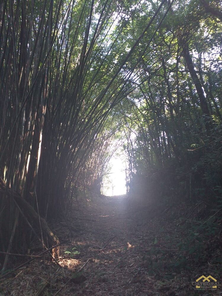 Terreno, 1300 m² - Foto 6