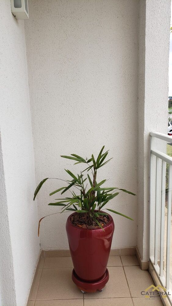 Apartamento, 2 quartos, 64 m² - Foto 19