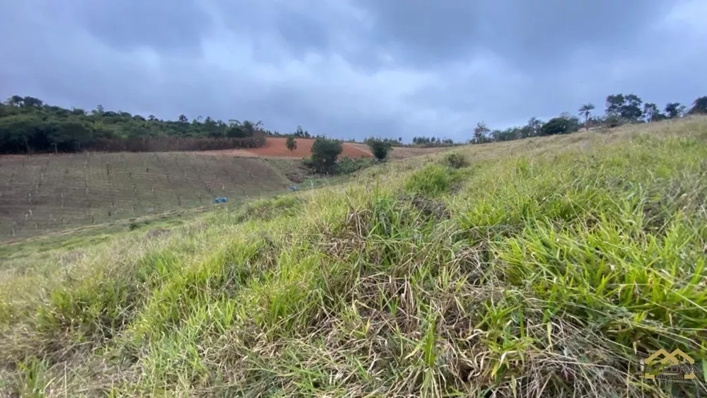 Haras e Área Rural Padrão à venda, 27000m² - Foto 3