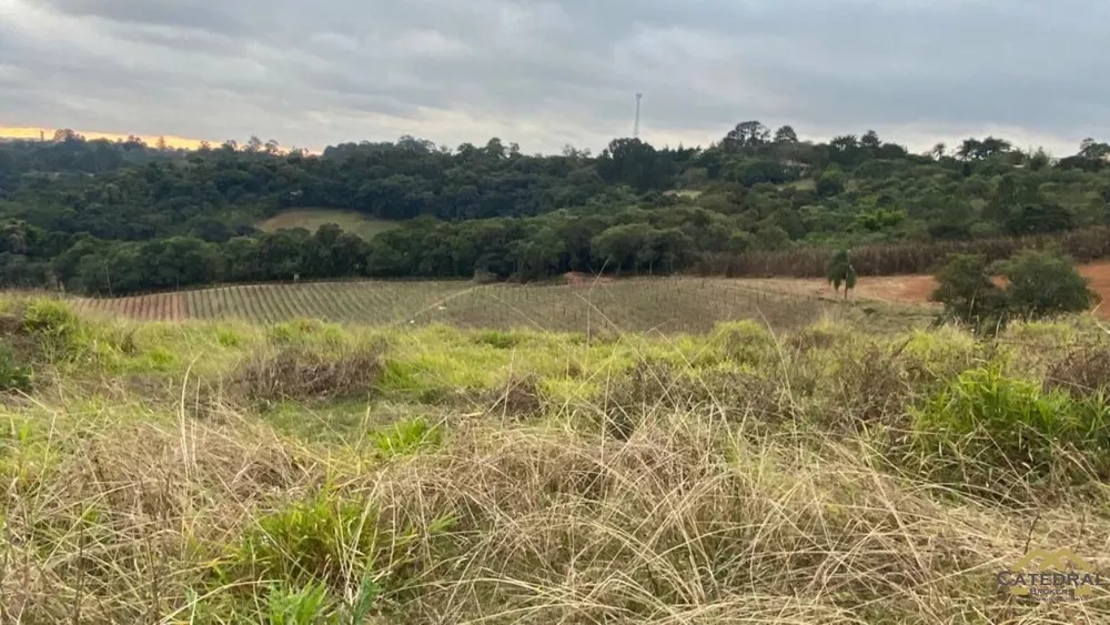 Haras e Área Rural Padrão à venda, 27000m² - Foto 1