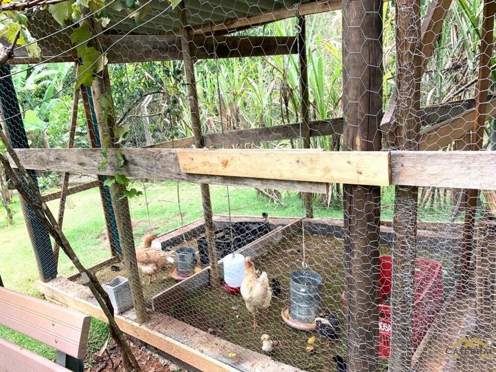 Chácara à venda com 7 quartos, 220m² - Foto 15