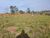 Terreno, 1000 m² - Foto 3