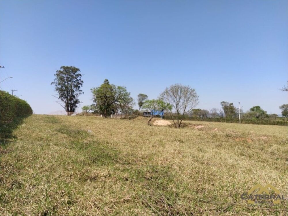 Fazenda, 3 hectares - Foto 6