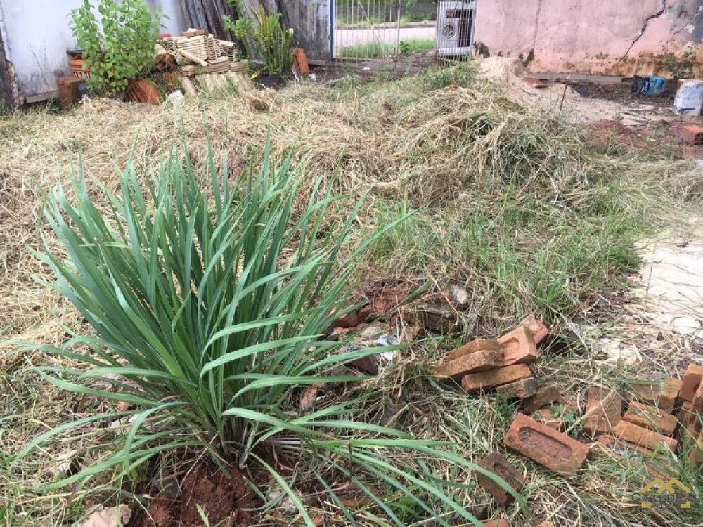 Terreno, 209 m² - Foto 13