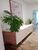 Apartamento, 4 quartos, 357 m² - Foto 5