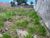 Terreno, 500 m² - Foto 2