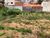 Terreno, 966 m² - Foto 5