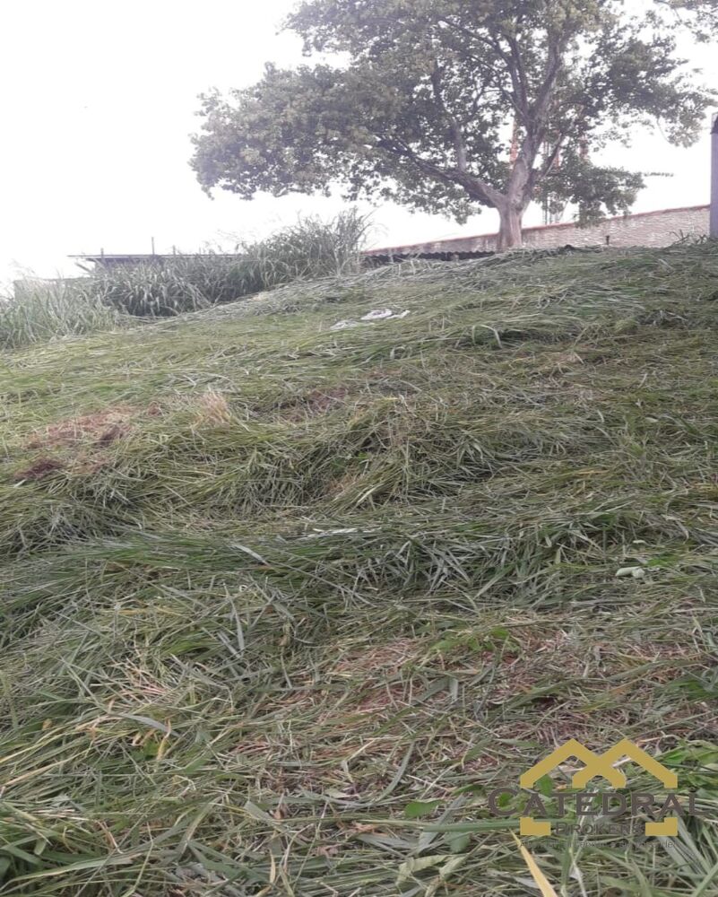 Terreno, 250 m² - Foto 7