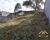 Terreno, 250 m² - Foto 3