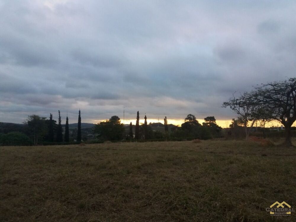 Terreno, 7000 m² - Foto 5