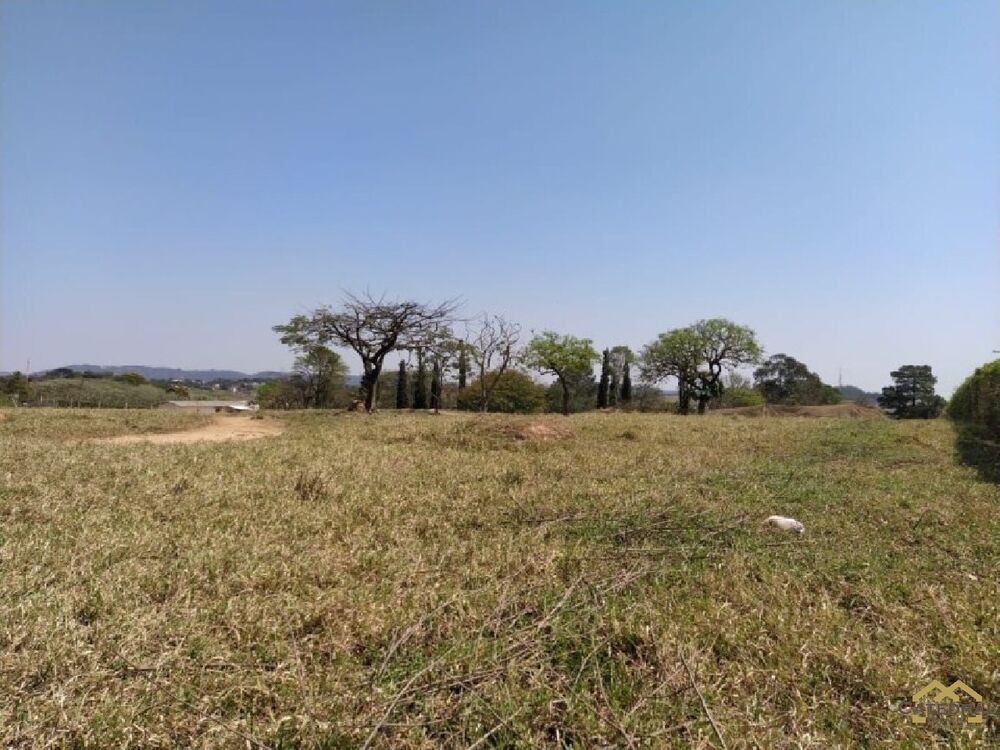 Terreno, 7000 m² - Foto 8