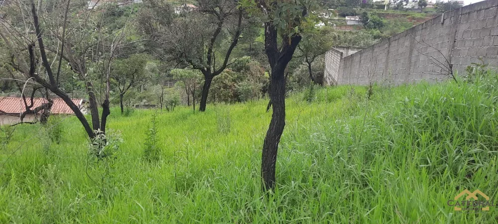 Terreno à venda, 1164m² - Foto 1